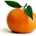 Casa La Mandarina