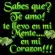 diana ruiz ruiz