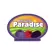 Berries  Paradise