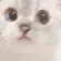 Its Txwrs