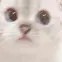 Its Txwrs