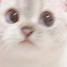 Its Txwrs
